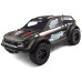 Rattlesnake EBD 2.4GHz RTR, 1/10